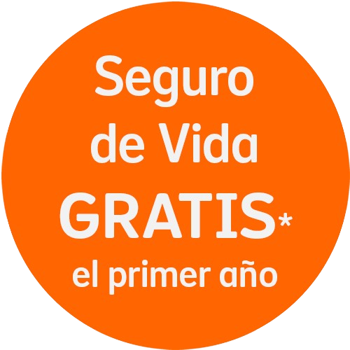 seguro-vida-free04