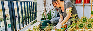 Mujer cuida de sus plantas mientras habla por teléfono sonriente